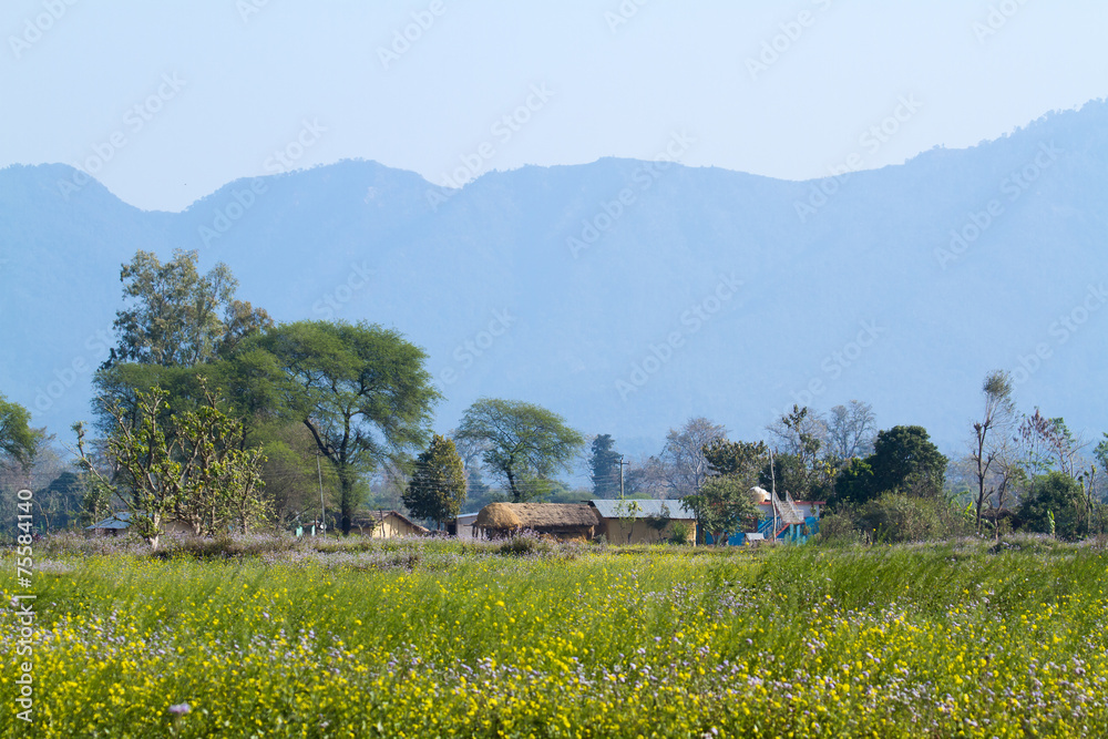 Remote area in Terai, Bardia, Nepal