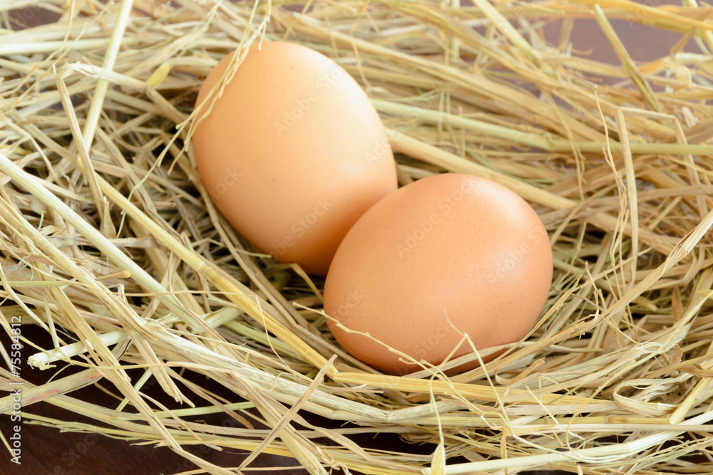 egg on straw egg on straw