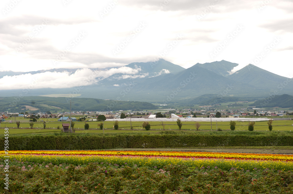 landscape of countryside  in Japan