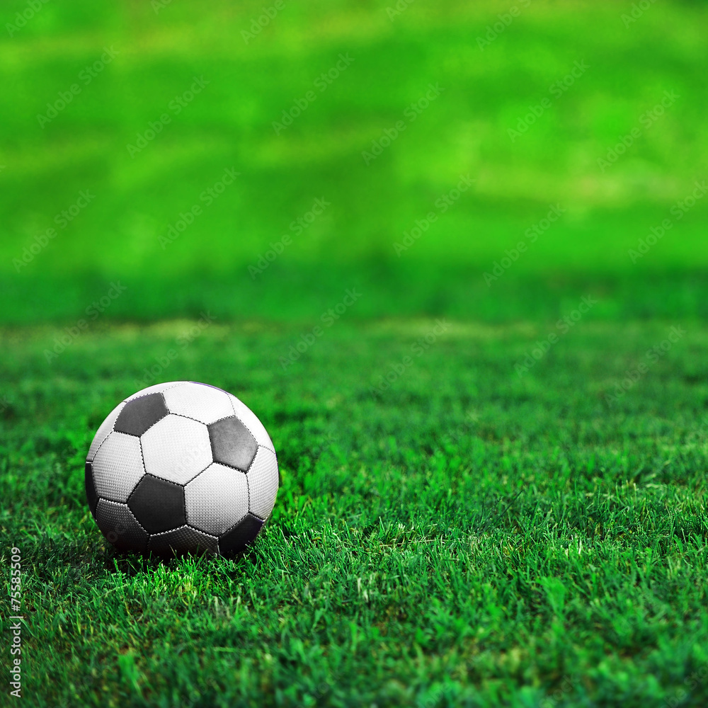 Fototapeta premium soccer ball