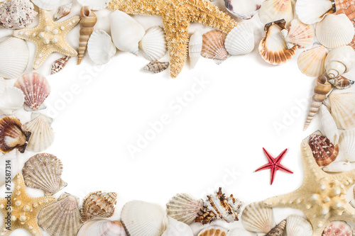 Seashells frame. Isolated on white background.