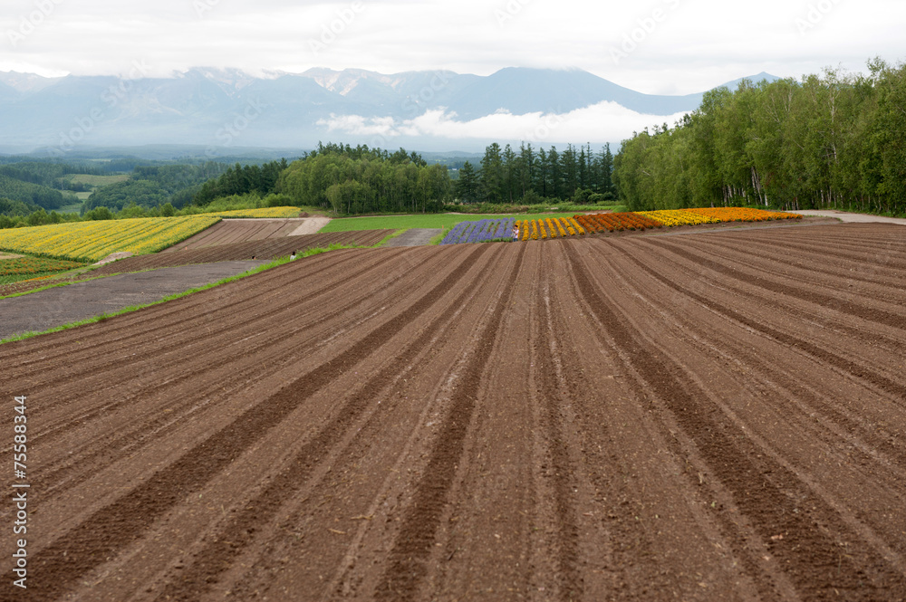 landscape of countryside  in Japan