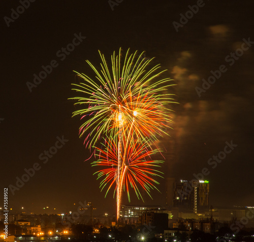 Colorful fireworks explosion in the dark sky © Peerapixs