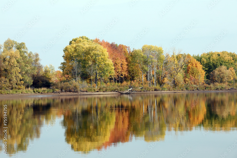 autumn trees reflected in the river autumn trees reflected in the river