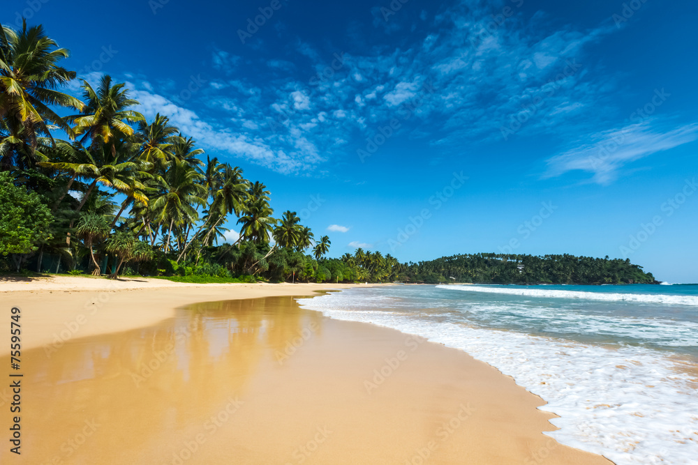 Idyllic beach. Sri Lanka - obrazy, fototapety, plakaty 