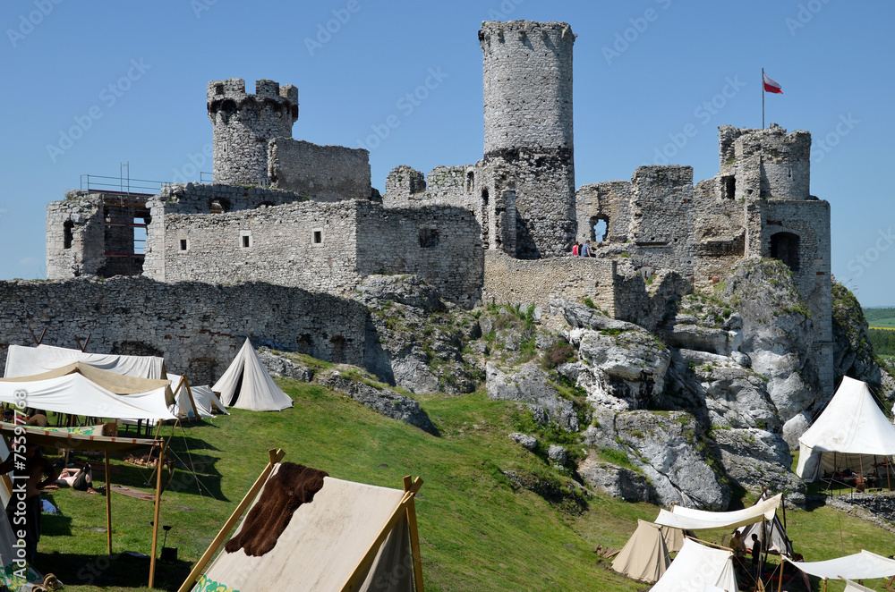 Castle in Poland (Ogrodzieniec)