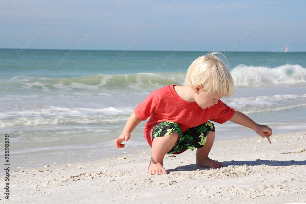 Fototapeta premium Young Child Picking up Seashells on Beach by Ocean