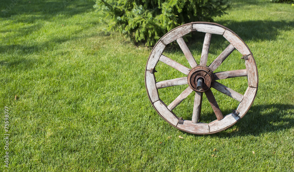 wooden wheel on a background of green grass wooden wheel on a background of green grass