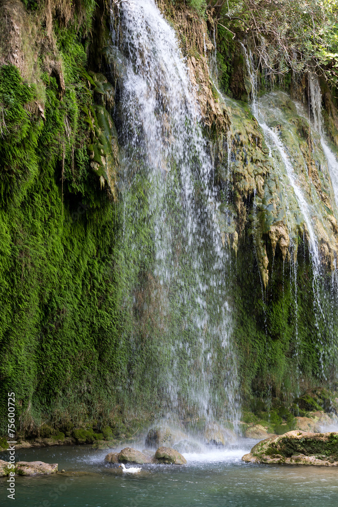 Obraz premium Kursunlu Waterfall Nature Park near Antalya. Turkey