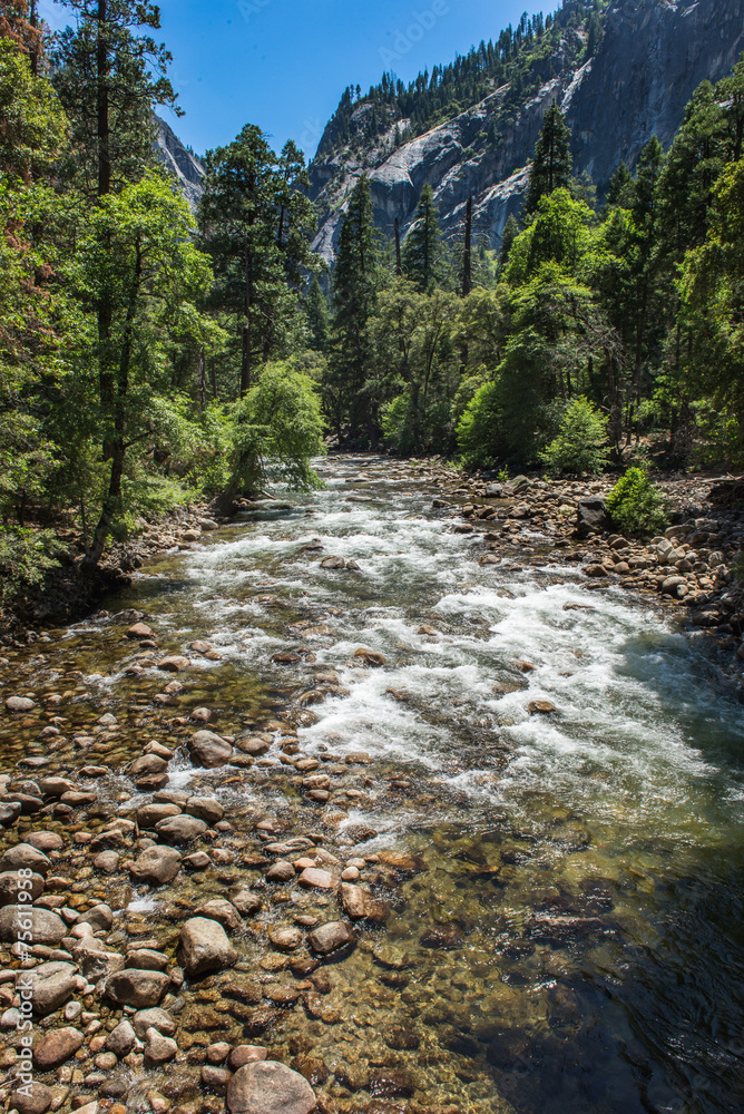 little creek in Yosemite National Park little creek in Yosemite National Park