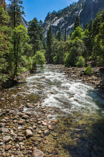 little creek in Yosemite National Park