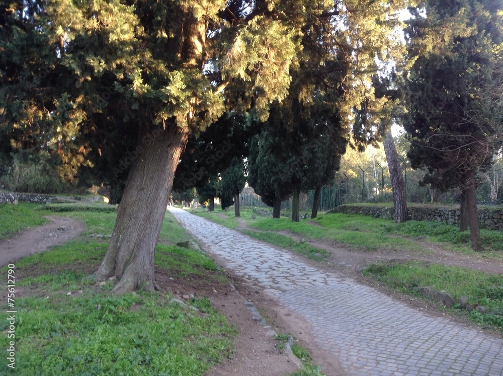 scorcio su Via Appia Antica a Roma