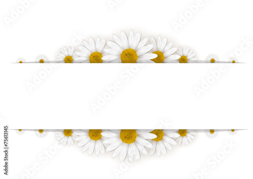 Daisies frame