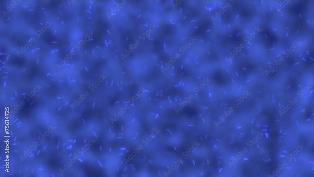 microscop bacterias 4k microscop bacterias 4k