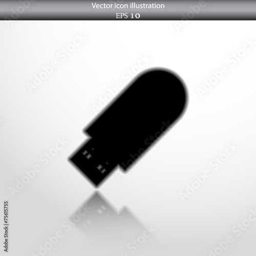 Vector usb flash drive web icon