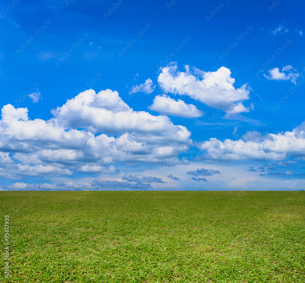 Landscape of green field and blue clouds sky Landscape of green field and blue clouds sky