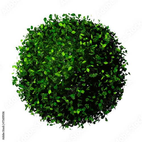 Planet earth made of leaves. Eco globe. Ball of green leaves.