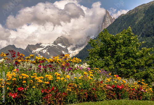 Fototapeta Naklejka Na Ścianę i Meble -  Flowers on the background of Mont Blanc 