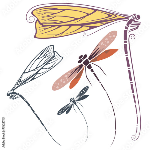 vector dragonfly for invitations, advertising and greeting cards