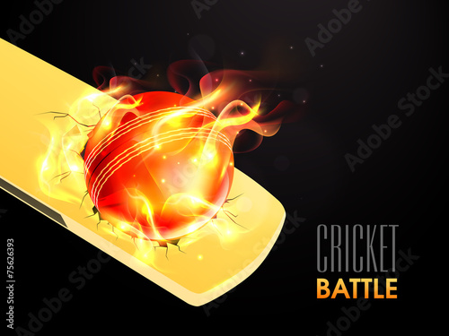 Red ball in fire with bat for Cricket Battle.