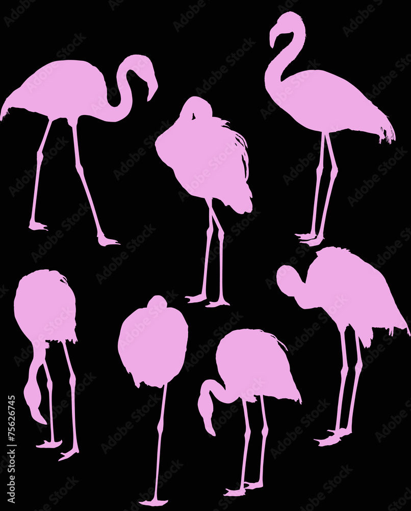 Fototapeta premium seven pink flamingo silhouettes isolated on black