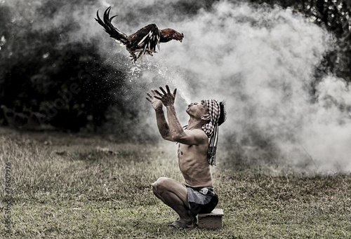 Thai local people with cock fighting in a farm photo