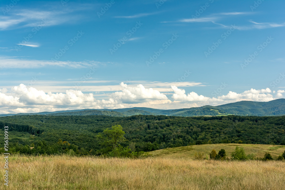 Carpathian Mountains Landscape With Blue Sky In Summer
