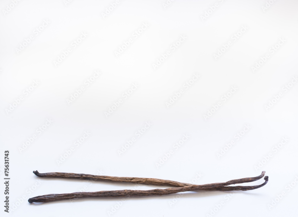 Two vanilla pods and copy space Two vanilla pods and copy space