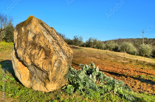 Tuscan Winter Scene photo