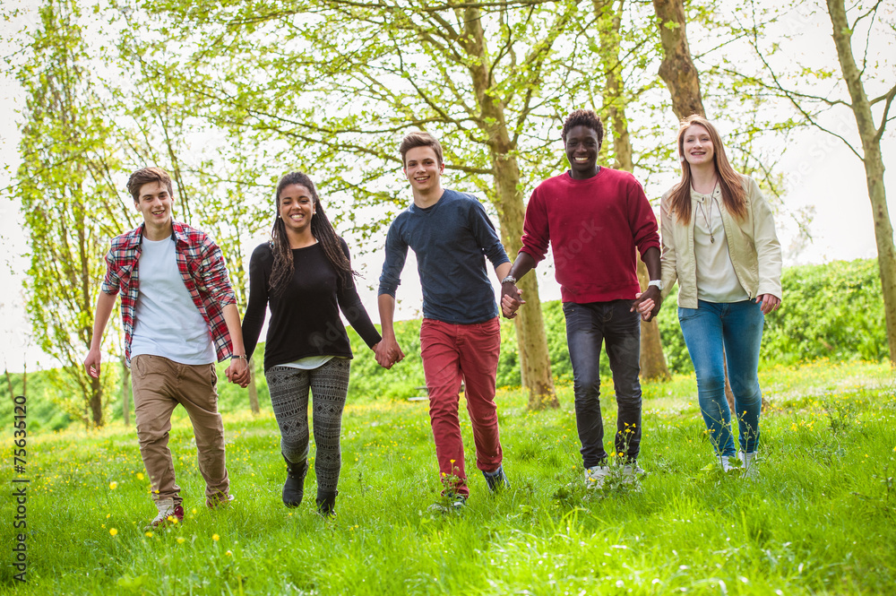 Fototapeta premium Diverse group of friends smiling together