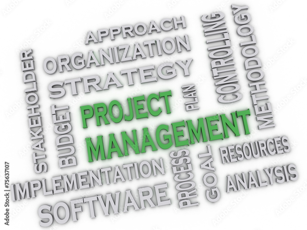 3d image project management issues concept word cloud background