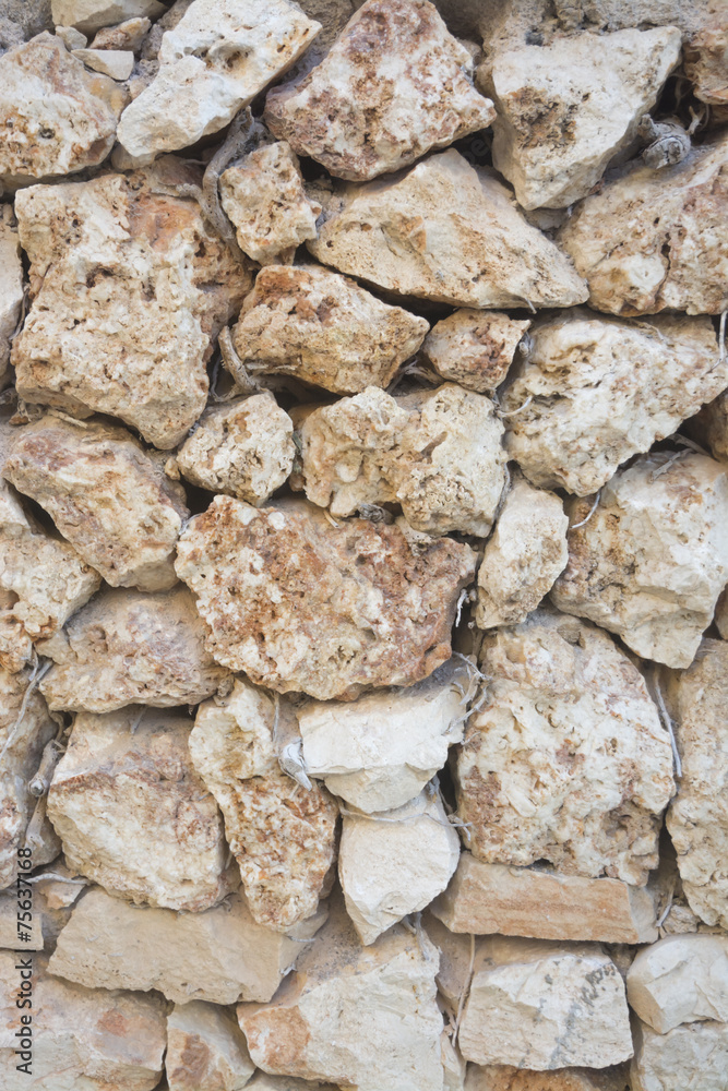 Weathered rock background with Elegant Sunburst Lichen Weathered rock background with Elegant Sunburst Lichen