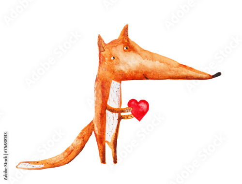 fox. watercolor illustration