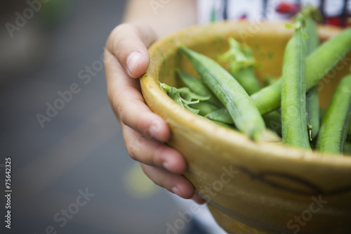 Person holding bowl of freshly picked peas. photo