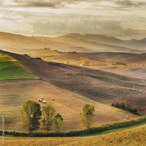 Beautiful light of the morning sun in the Tuscan landscape