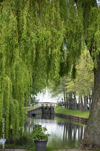 ponte sul fiume