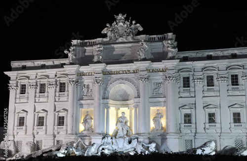 Photography copy of the Trevi Fountain in Rome