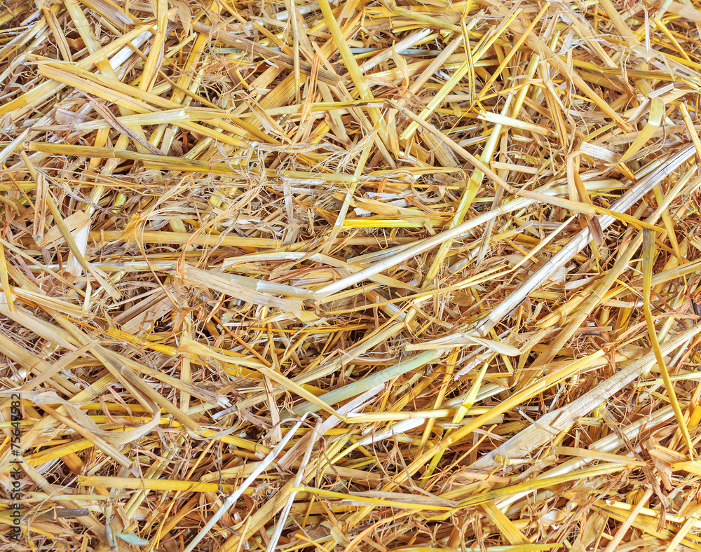 The texture of straw The texture of straw