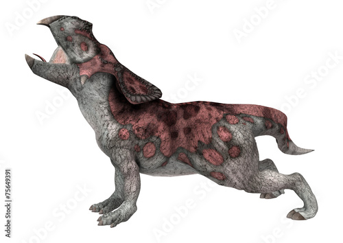 Dinosaur Protoceratops photo