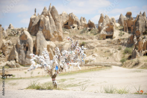 Obraz na plátně Cappadocia wish tree
