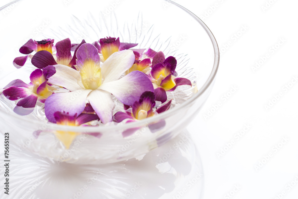 Orchid flower floating in water in a glass bowl Orchid flower floating in water in a glass bowl