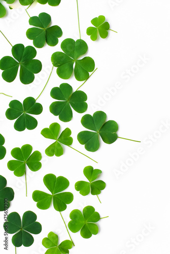 Bear Clover Leaf Green, background