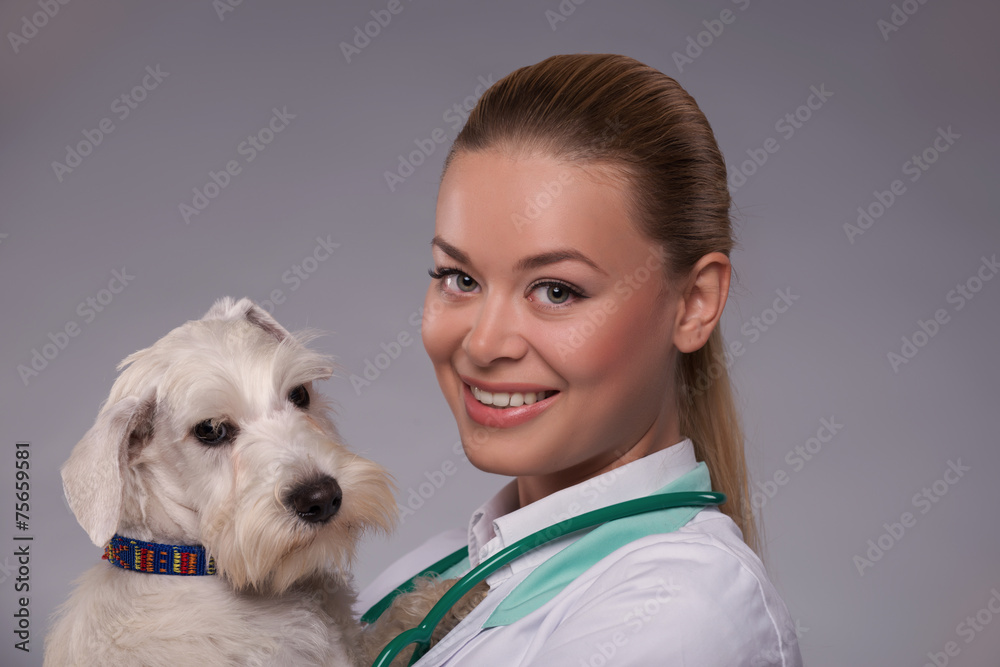 Female veterinarian examines little dog Female veterinarian examines little dog