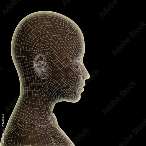 Conceptual wireframe mesh woman face