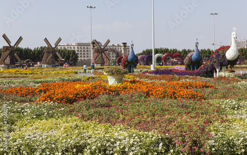 Парк цветов в Дубай (Dubai Miracle Garden).