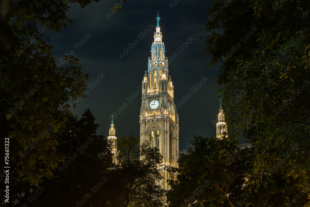 Fototapeta premium Rathaus in Vienna Austria