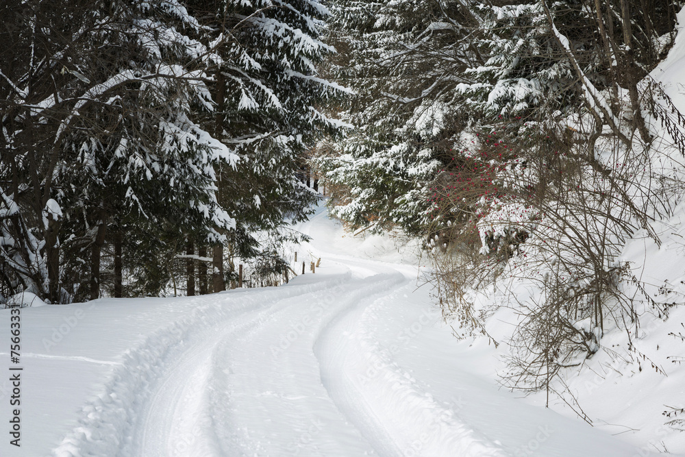 Obraz premium Road covered in snow
