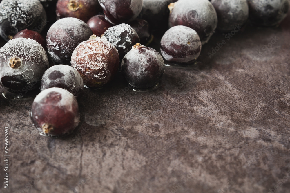 Obraz premium frozen black currant