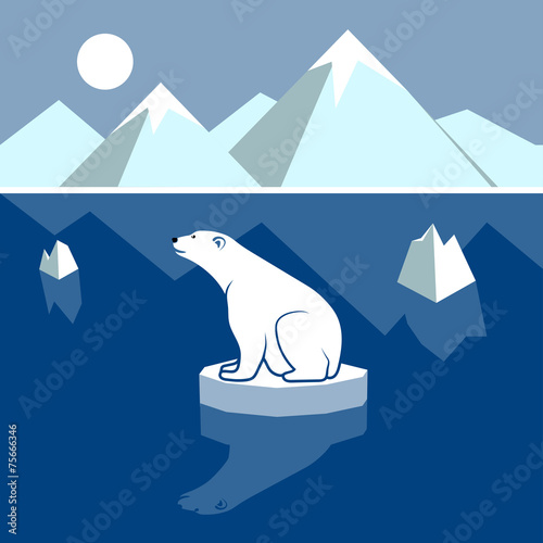 Polar landscape panorama