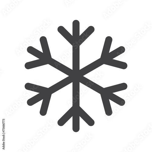 Snowflake icon